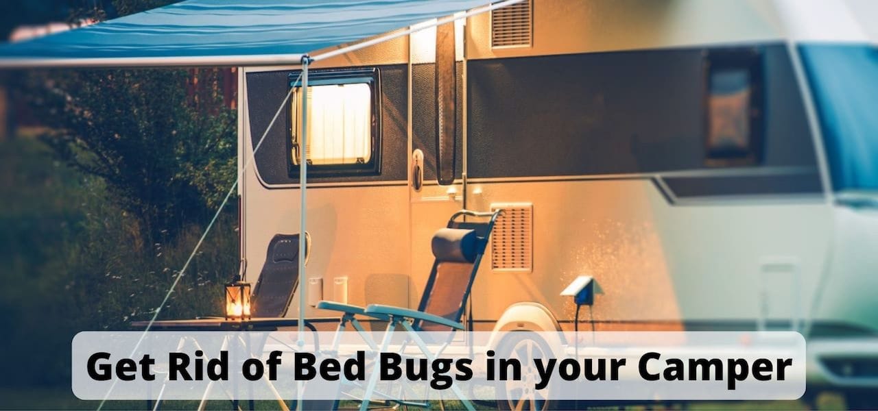 Bed Bug Heat Treatment Trinity TN