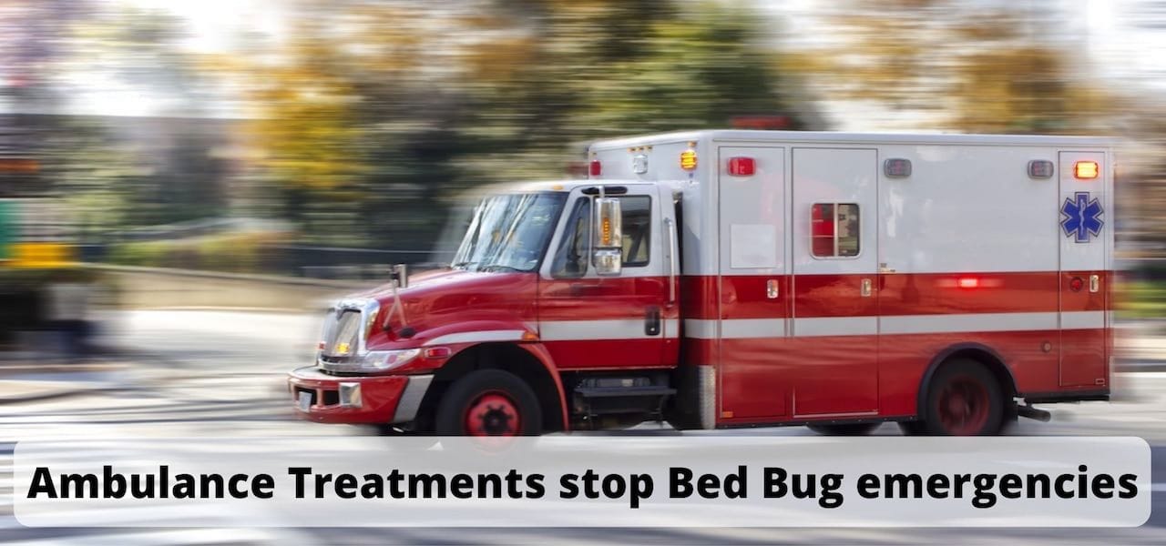Bed Bug Heat Treatment Epworth TN