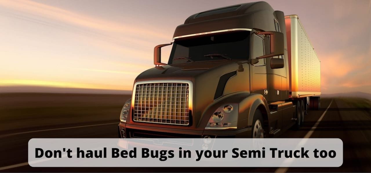 Bethlehem Bed Bug RV Treatments