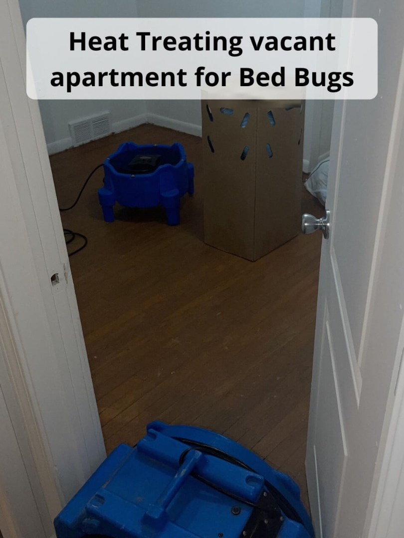 Bed Bug Car Treatment Meador KY