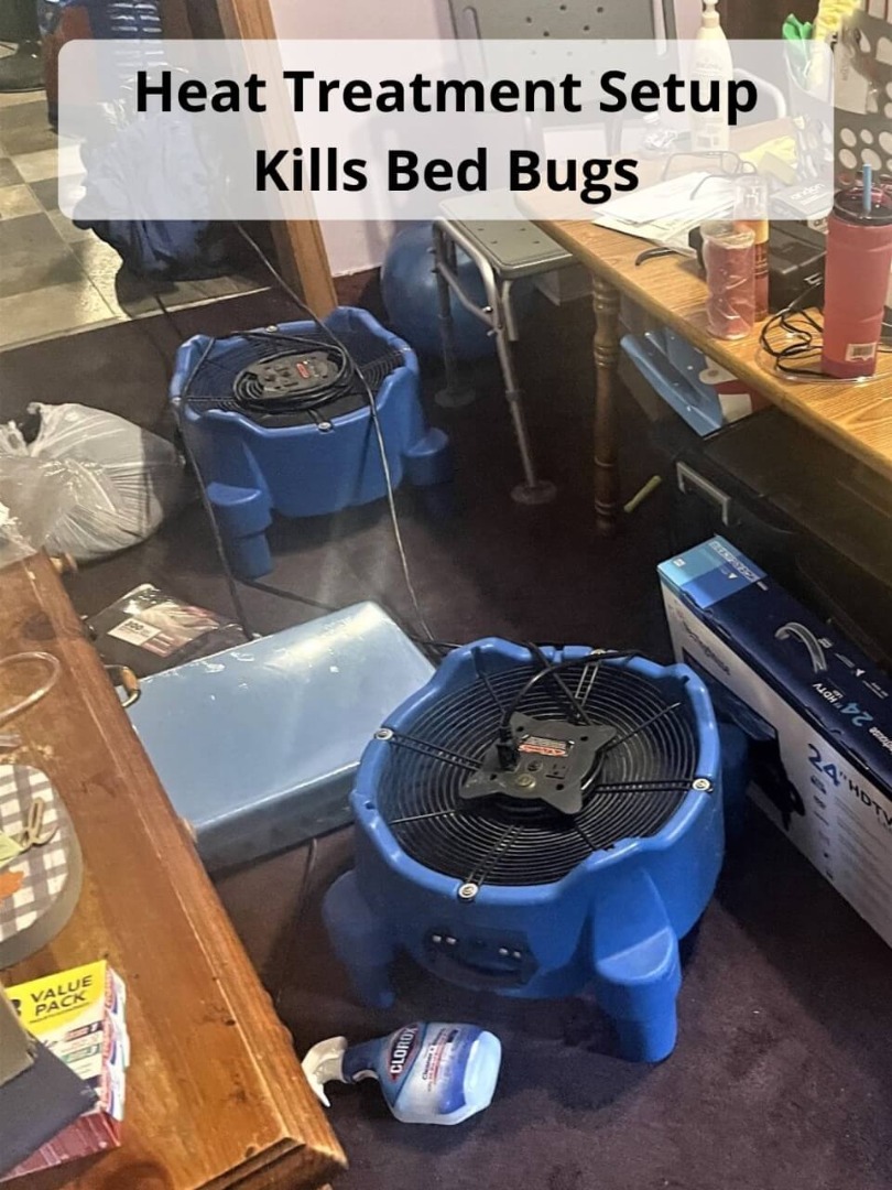 Bed Bug Car Treatment Birchwood TN