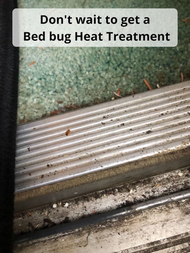 Bed Bug Car Treatment Dry Fork KY