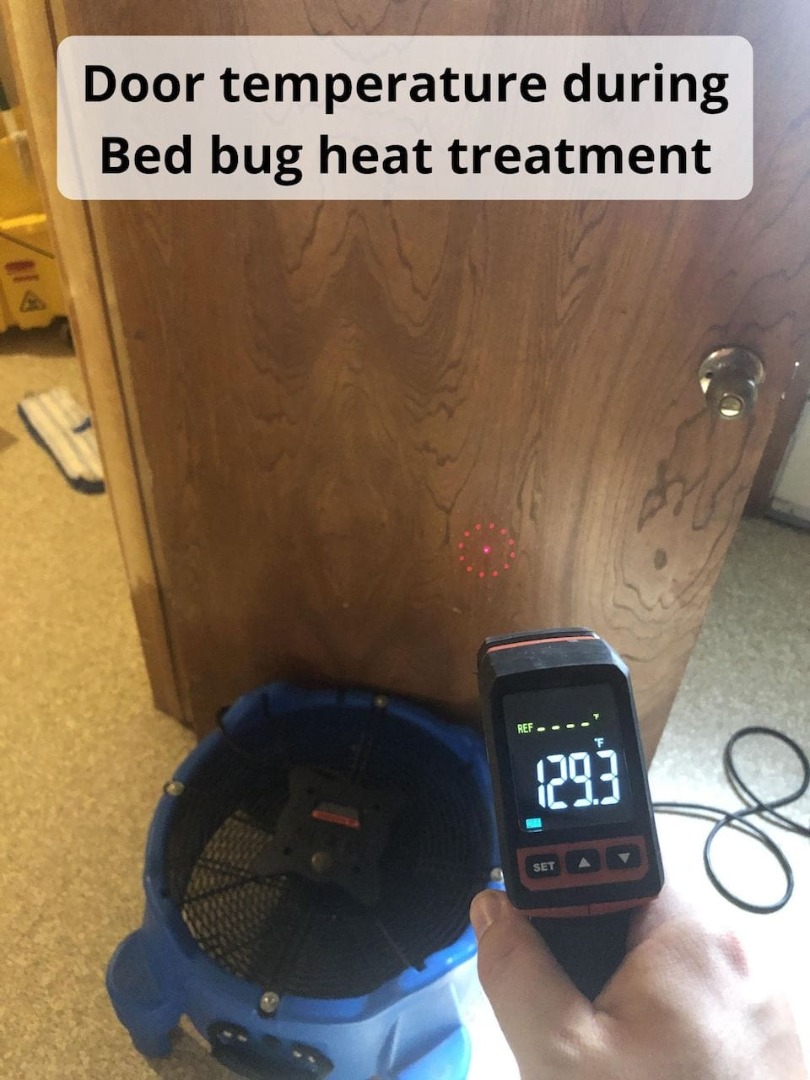 Bed Bugs New Prospect WI