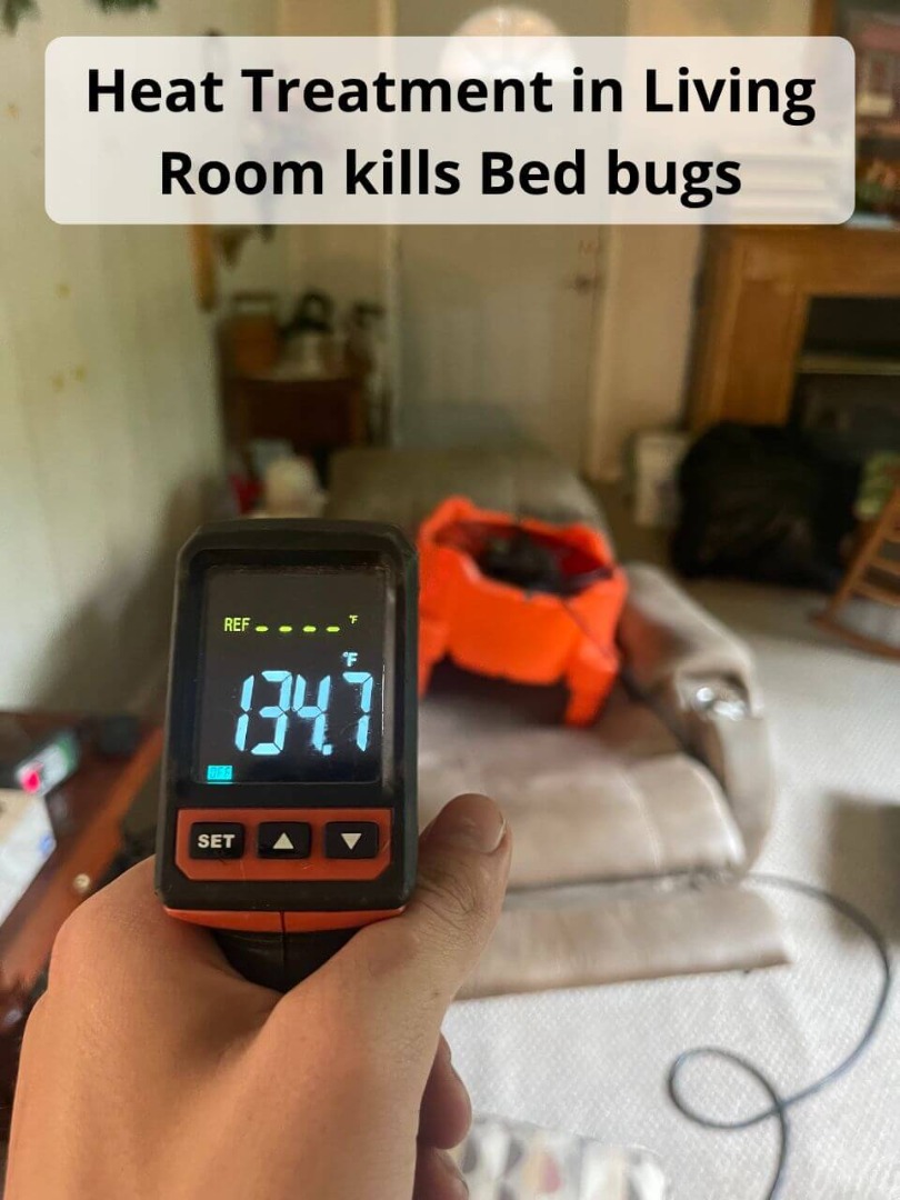 Bed Bug Car Treatment Southport TN