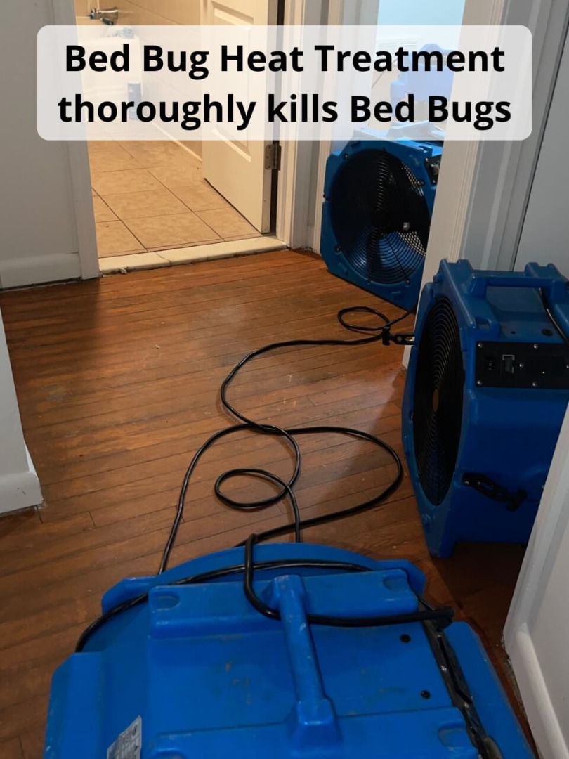 Bed Bug Car Treatment Jupiter FL