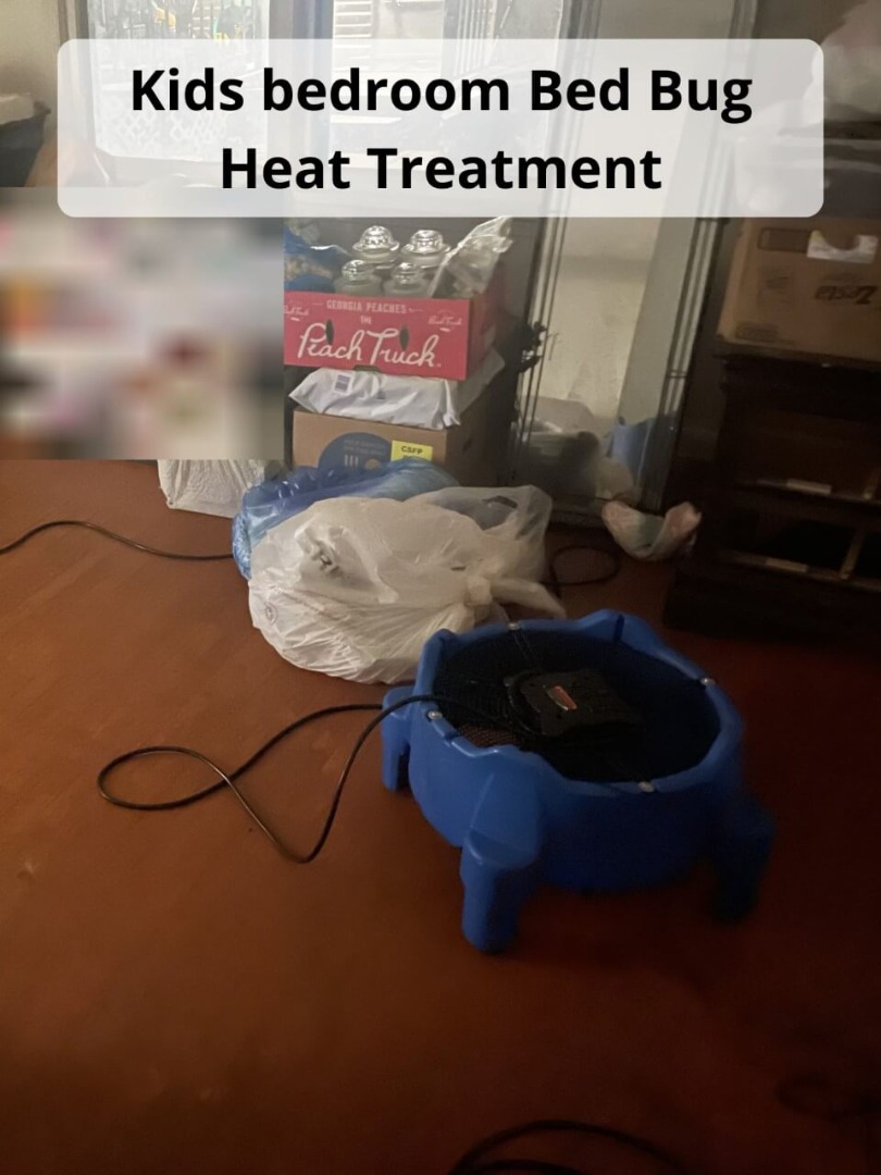 Bed Bug Heat Treatment 2024