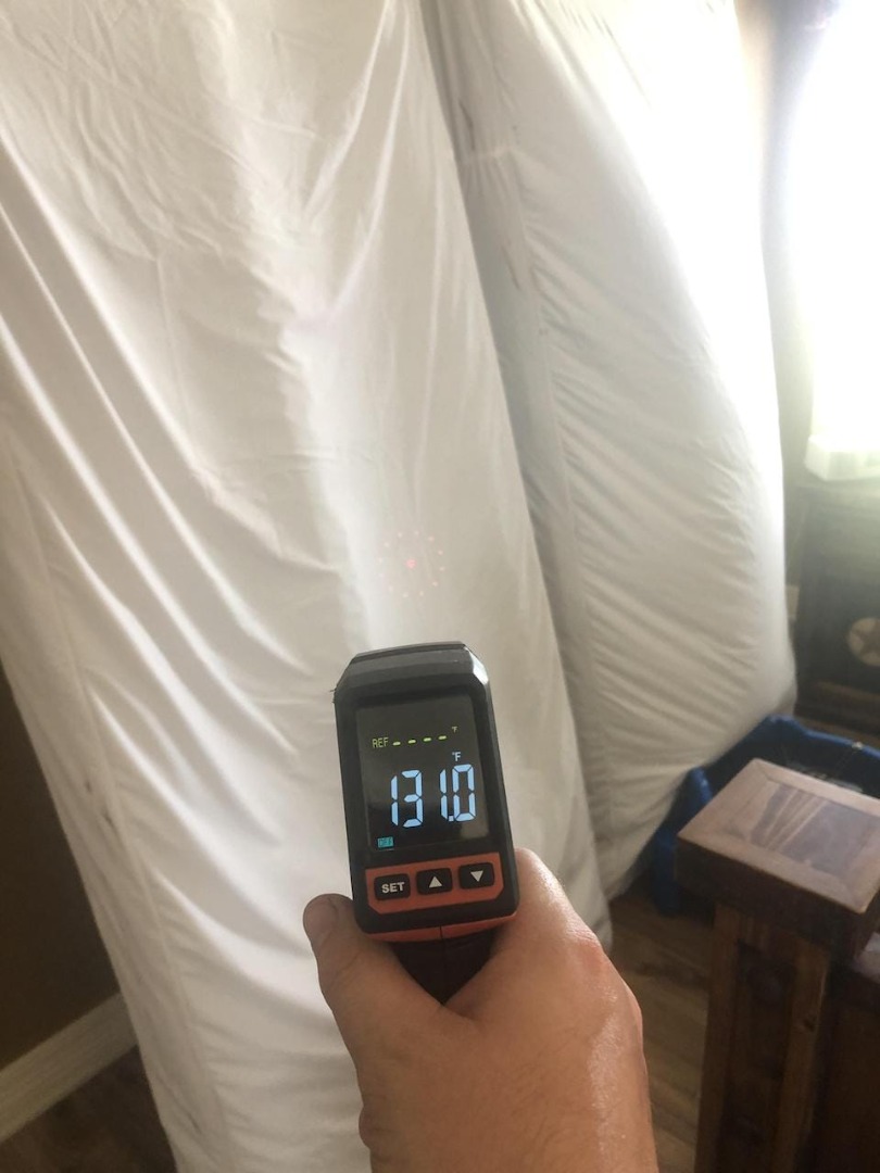 Heat Treatment killing Ware Bed Bugs