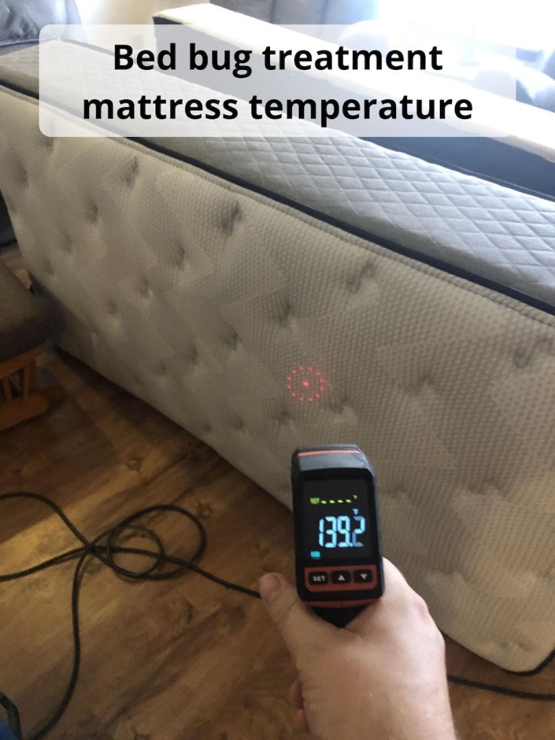 Heat Treatment killing Jetmore Bed Bugs