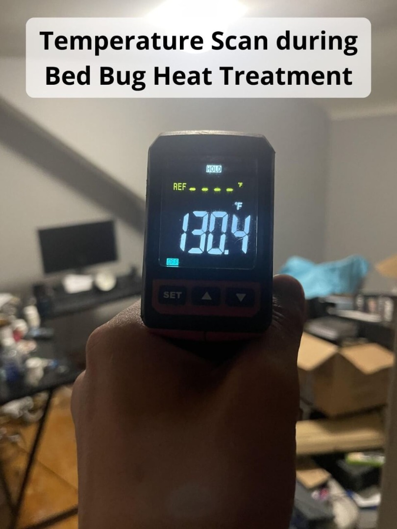 Heat Treatment killing Collins Bed Bugs