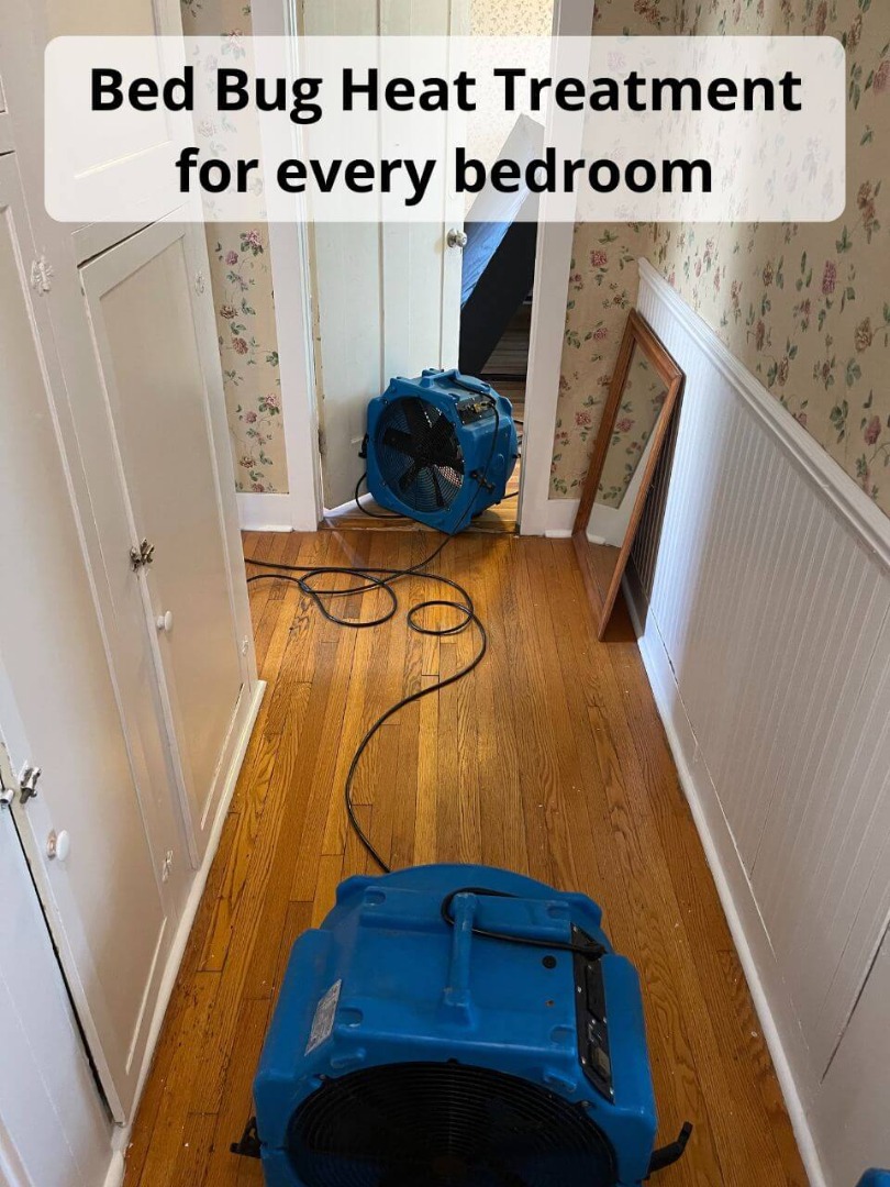bed bug heat treatment in every bedroom