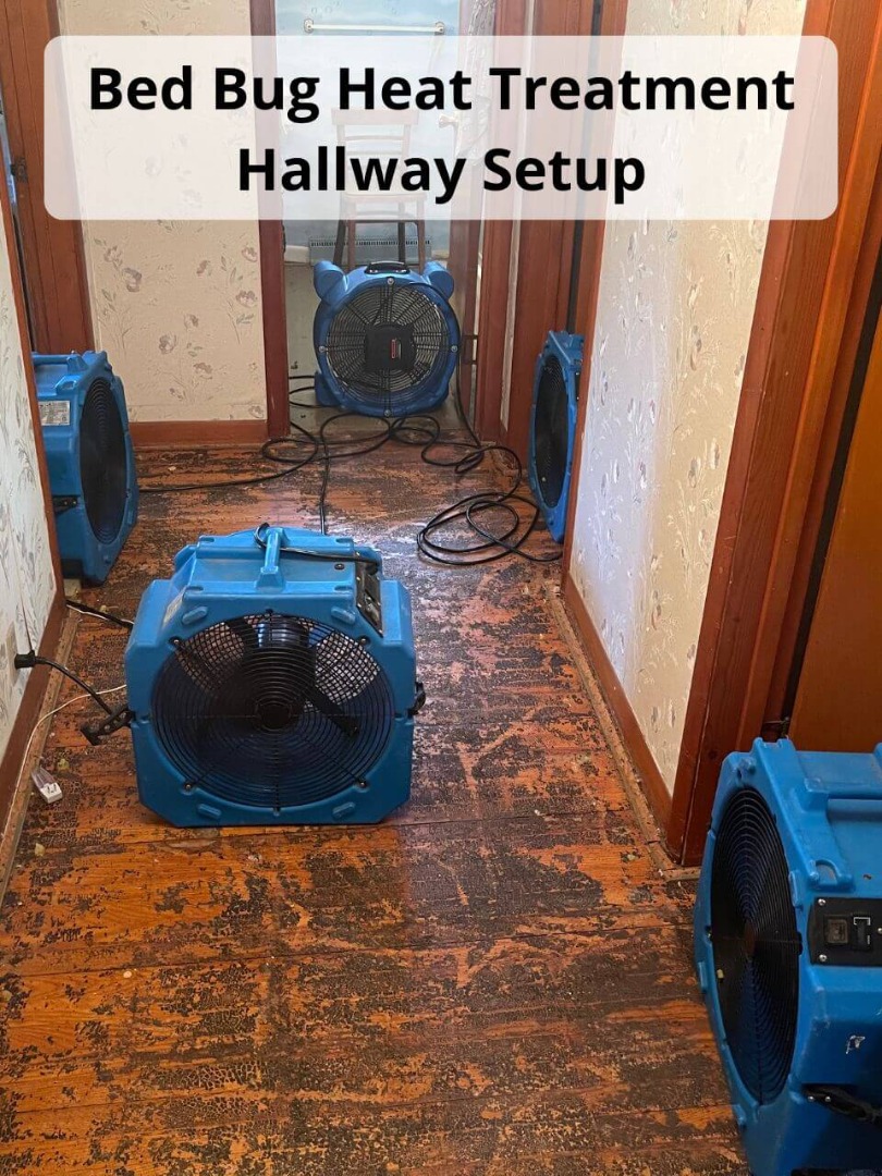 bed bug heat treatment hallway setup