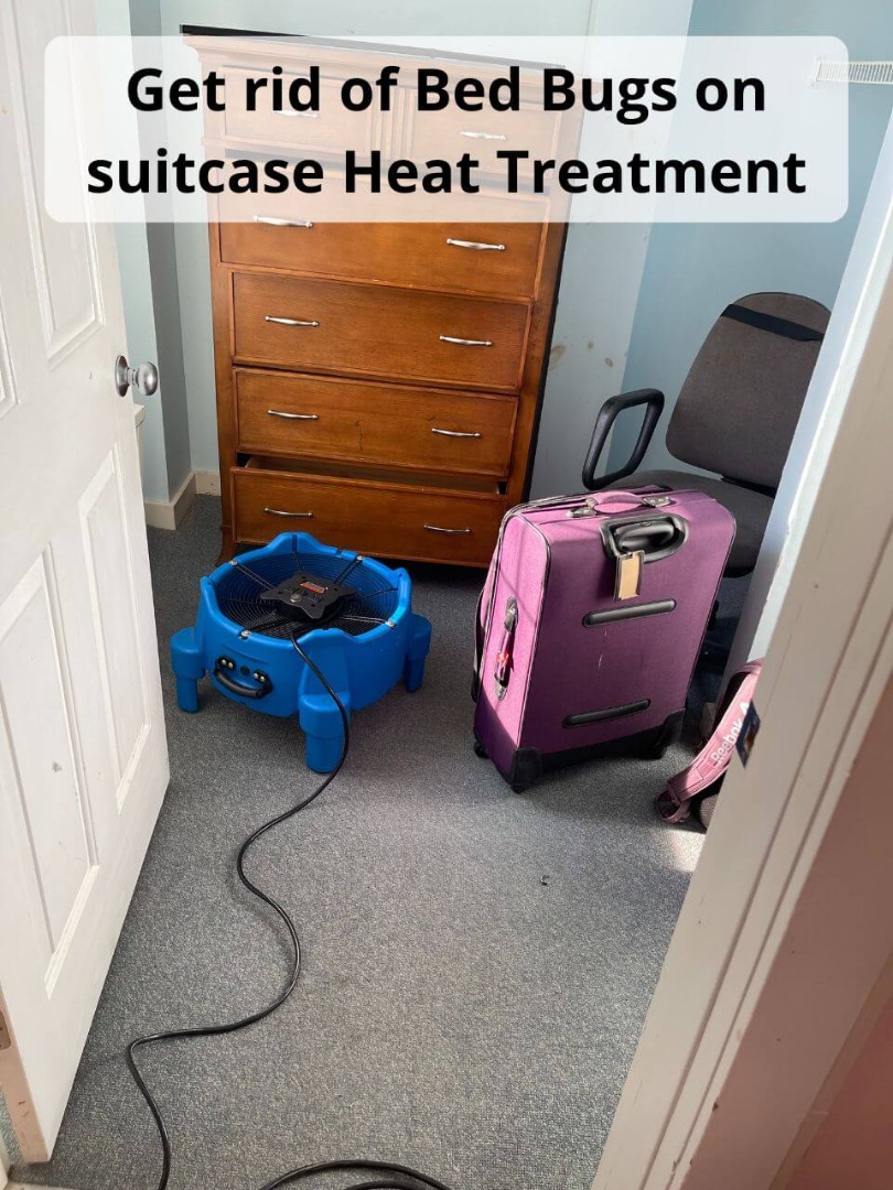 get rid of bed bugs on suitcase heat treatment