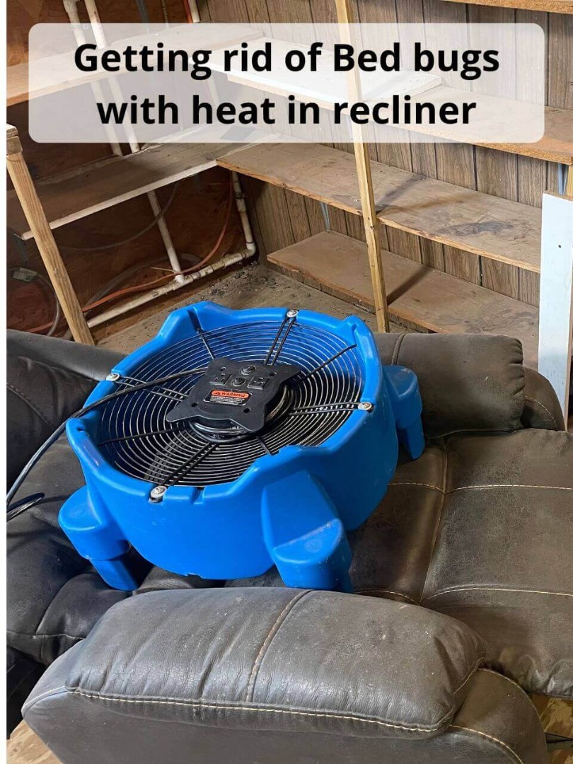 get rid of bed bugs in recliner