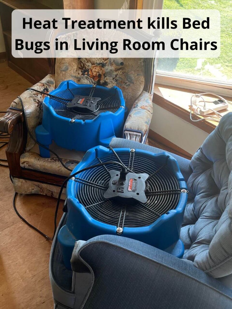 heat treatment kills bed bugs in living room