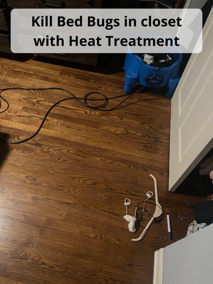 kill bed bugs in closet with heat treatment
