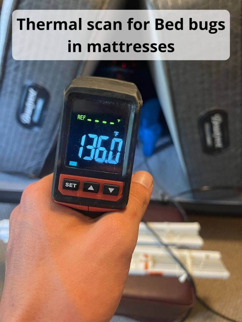 mattress heat treatment thermal scan